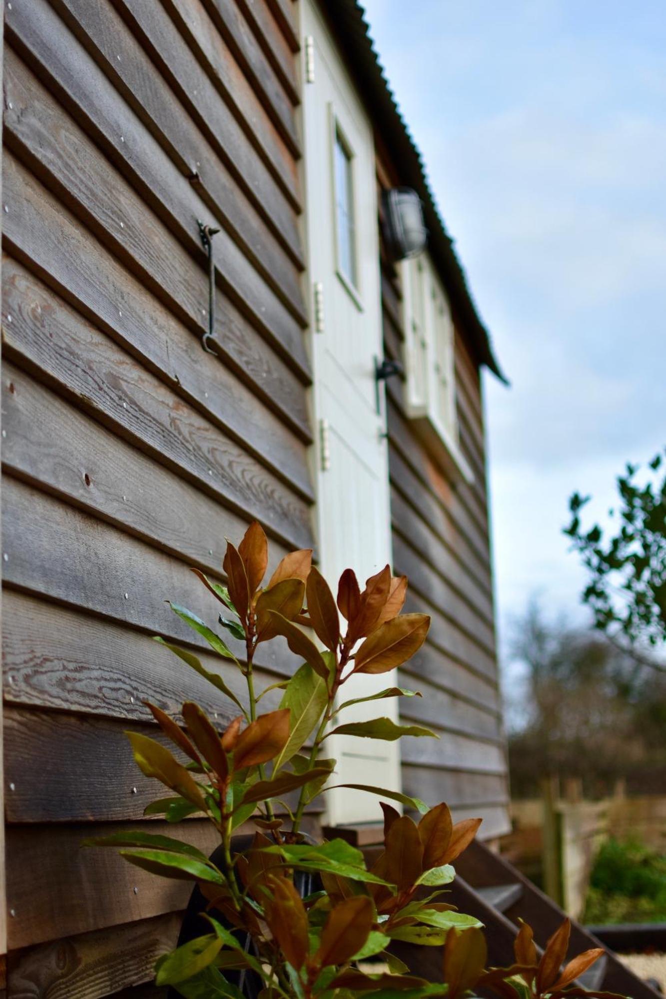 Apartmán The Deer Hut Burpham Exteriér fotografie